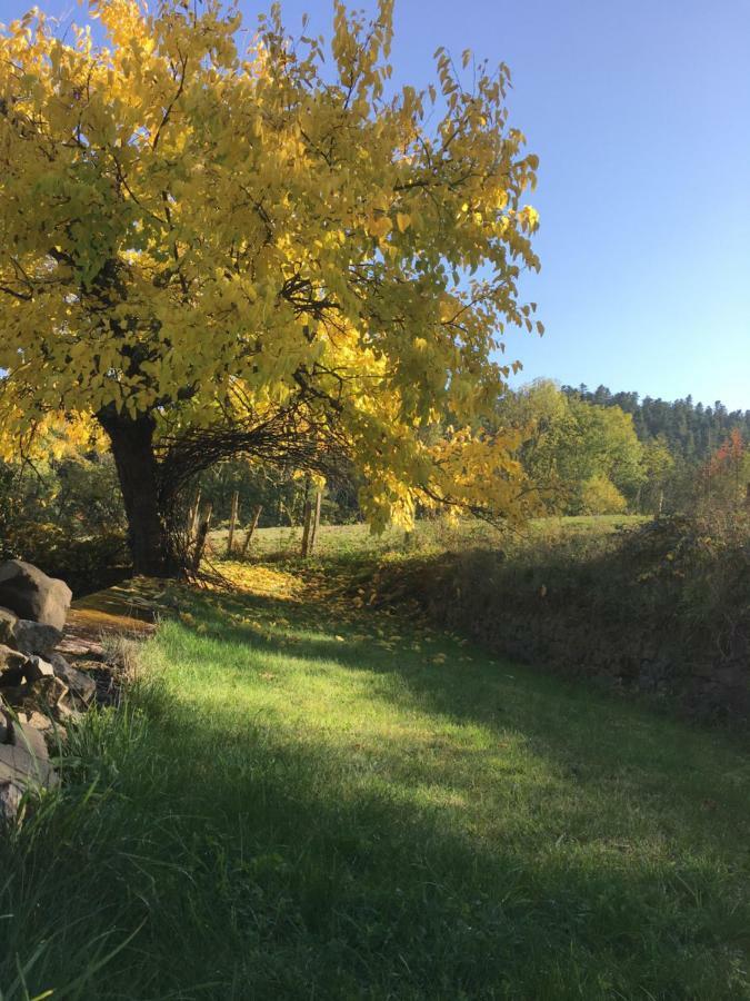 Le Chatel En Beaujolais Valsonne Exterior foto