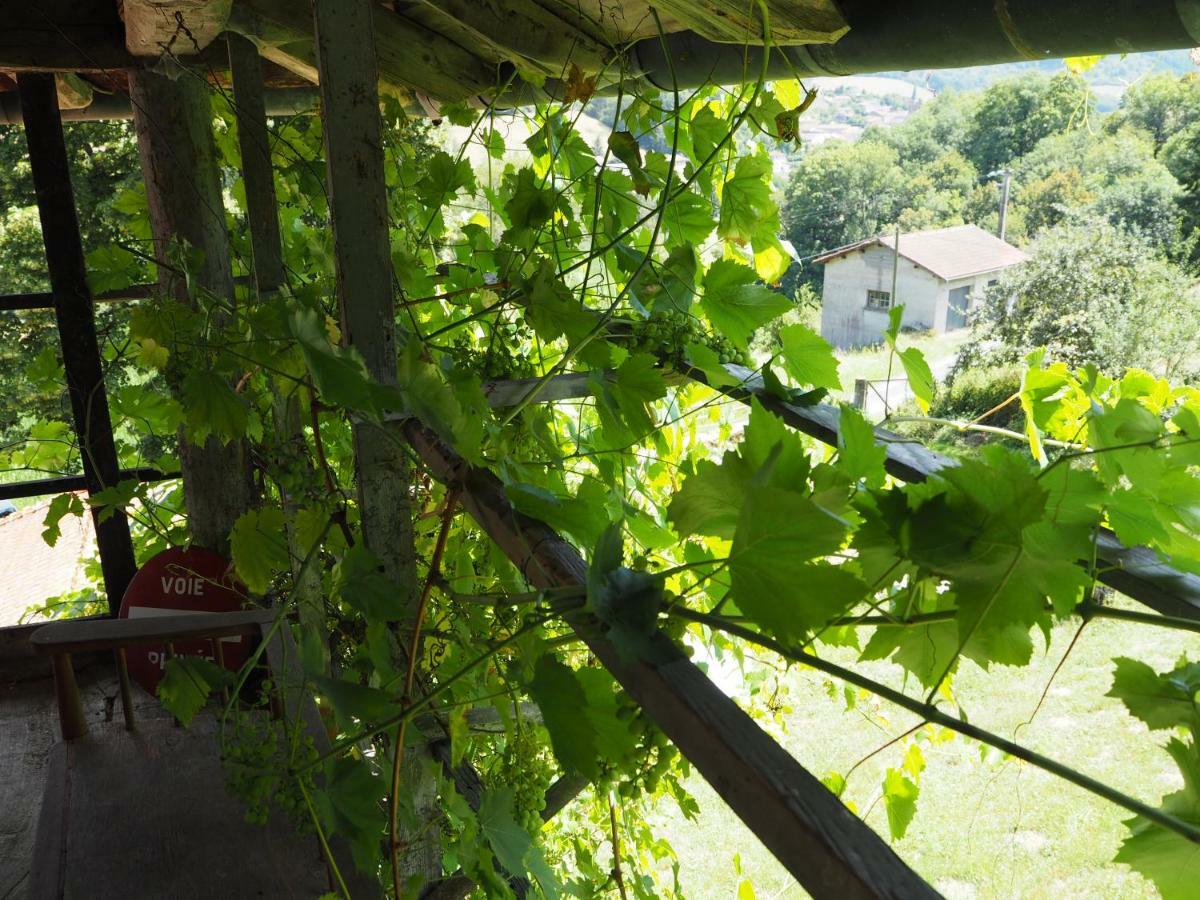 Le Chatel En Beaujolais Valsonne Exterior foto
